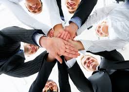 about the company